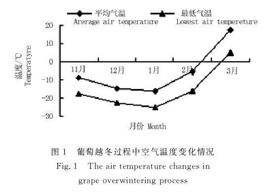 無膠棉大棚在新疆運用